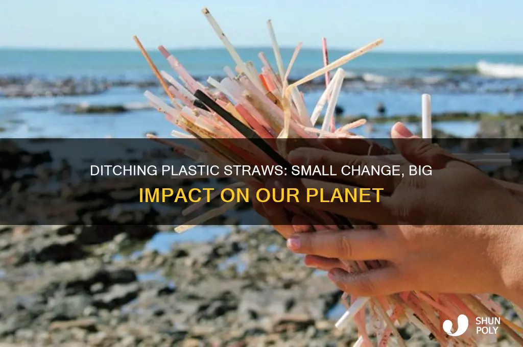 why get rid of plastic straws