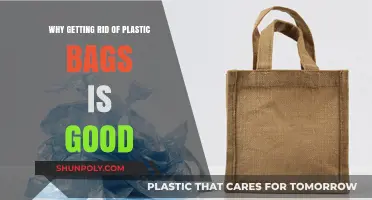 Ditching Plastic Bags: A Sustainable Choice for Our Planet's Future