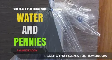 Plastic Bag Water Penny Hack: Repel Flies Naturally and Easily