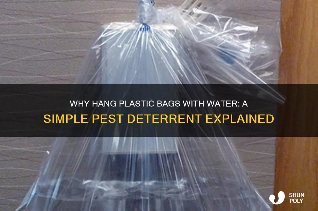 why hang plastic bags with water
