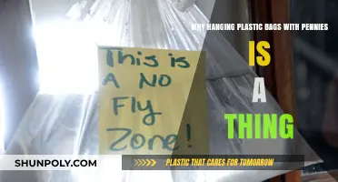 Why Do People Hang Plastic Bags with Pennies? Explained