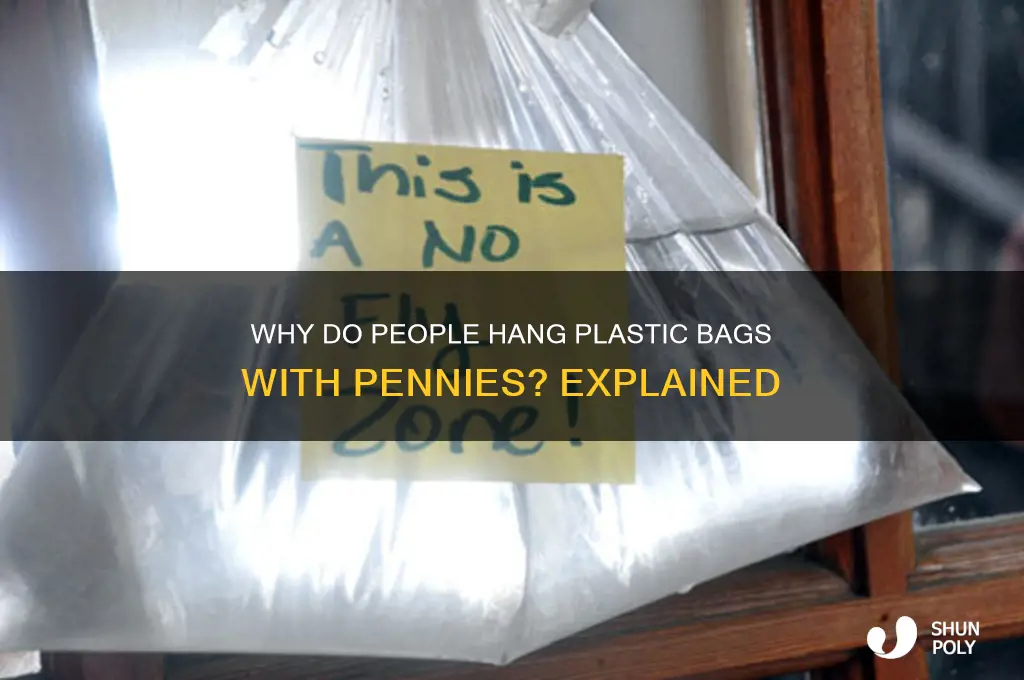 why hanging plastic bags with pennies is a thing