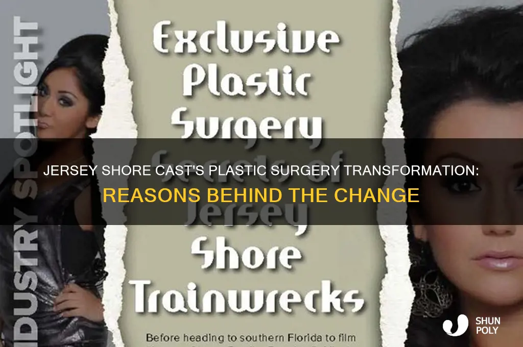 why has everyone on jersey shore gotten plastic surgery