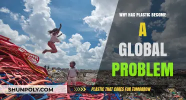 Plastic Pollution: A Global Crisis