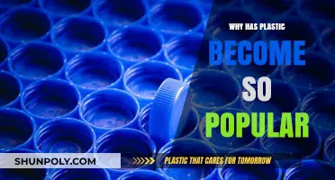Plastic's Popularity: Why Has It Taken Over?