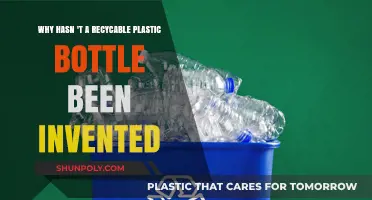 The Plastic Bottle Paradox: Why Recyclable Solutions Remain Elusive