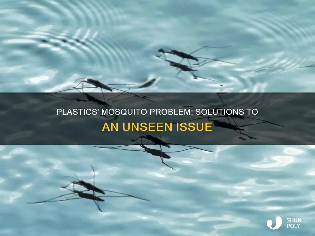 why have plastics increased mosquitoes solutions