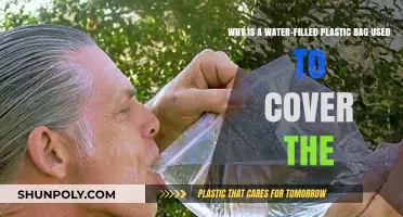 Water-Filled Plastic Bag: A Simple Yet Effective Covering Solution