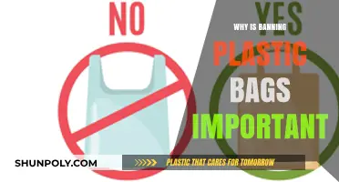Banning Plastic Bags: A Crucial Step for Environmental Sustainability