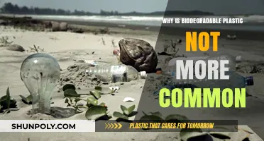 The Plastic Promise: Why Biodegradable Plastic Isn't Common