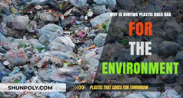 Burying Plastic Bags: Unseen Environmental Harm and Sustainable Alternatives