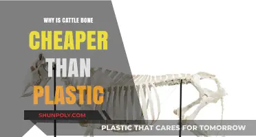 Cattle Bones: Cheaper and Eco-Friendly Alternative to Plastic