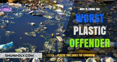China's Plastic Pollution: The Worst Offender?