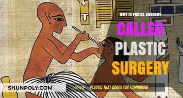Why Facial Surgery is Called Plastic Surgery: Unveiling the Origins
