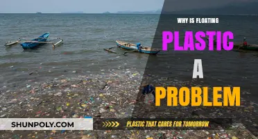 The Menace of Floating Plastic: Understanding the Global Crisis