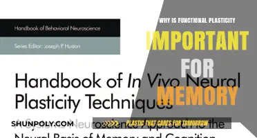 Understanding Memory: The Role of Functional Plasticity