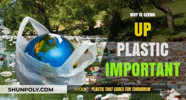Plastic-Free Living: Our Future Depends on It