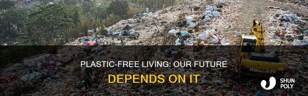 why is giving up plastic important