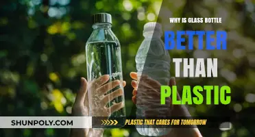 Glass Bottles: Eco-Friendly, Healthier, and Sustainable Choice Over Plastic