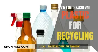 Glass and Plastic: Why Are They Recycled Together?