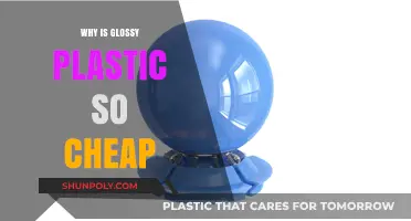 The Glossy Plastic Conundrum: Why So Cheap?