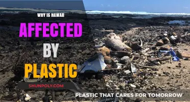 Hawaii's Battle Against Plastic Pollution