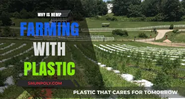 Hemp Farming: Plastic's Sustainable Future