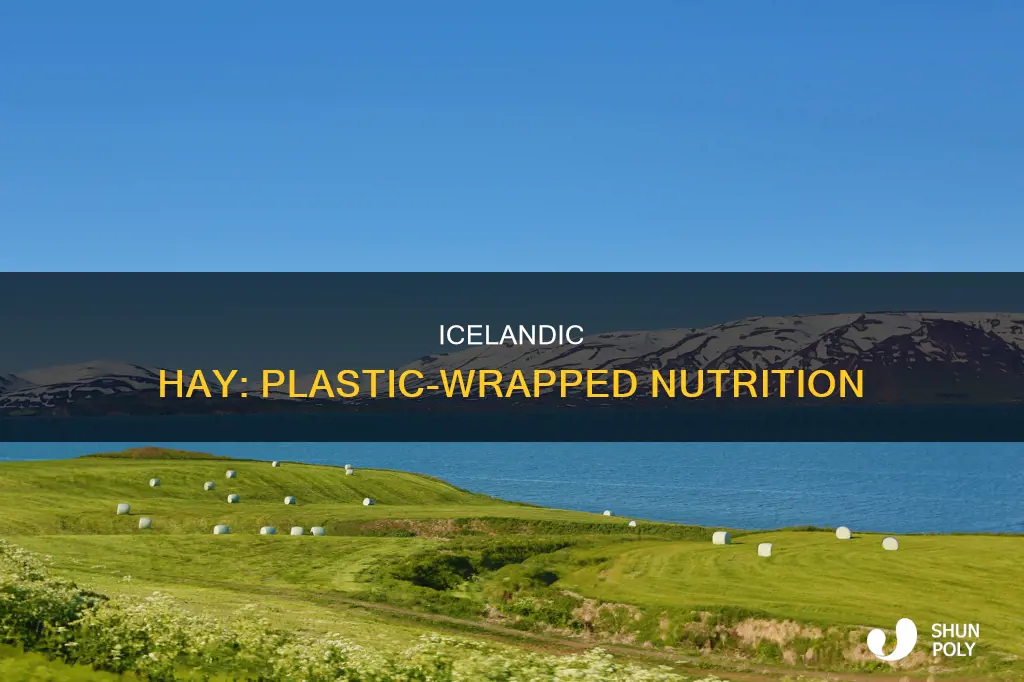 why is icelandic hay packed in plastic