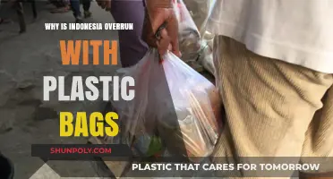 Indonesia's Plastic Bag Crisis: Causes, Consequences, and Urgent Solutions