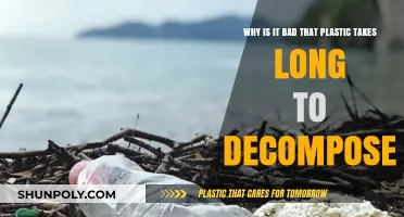 The Persistent Problem: Why Plastic's Long Decomposition Hurts Our Planet