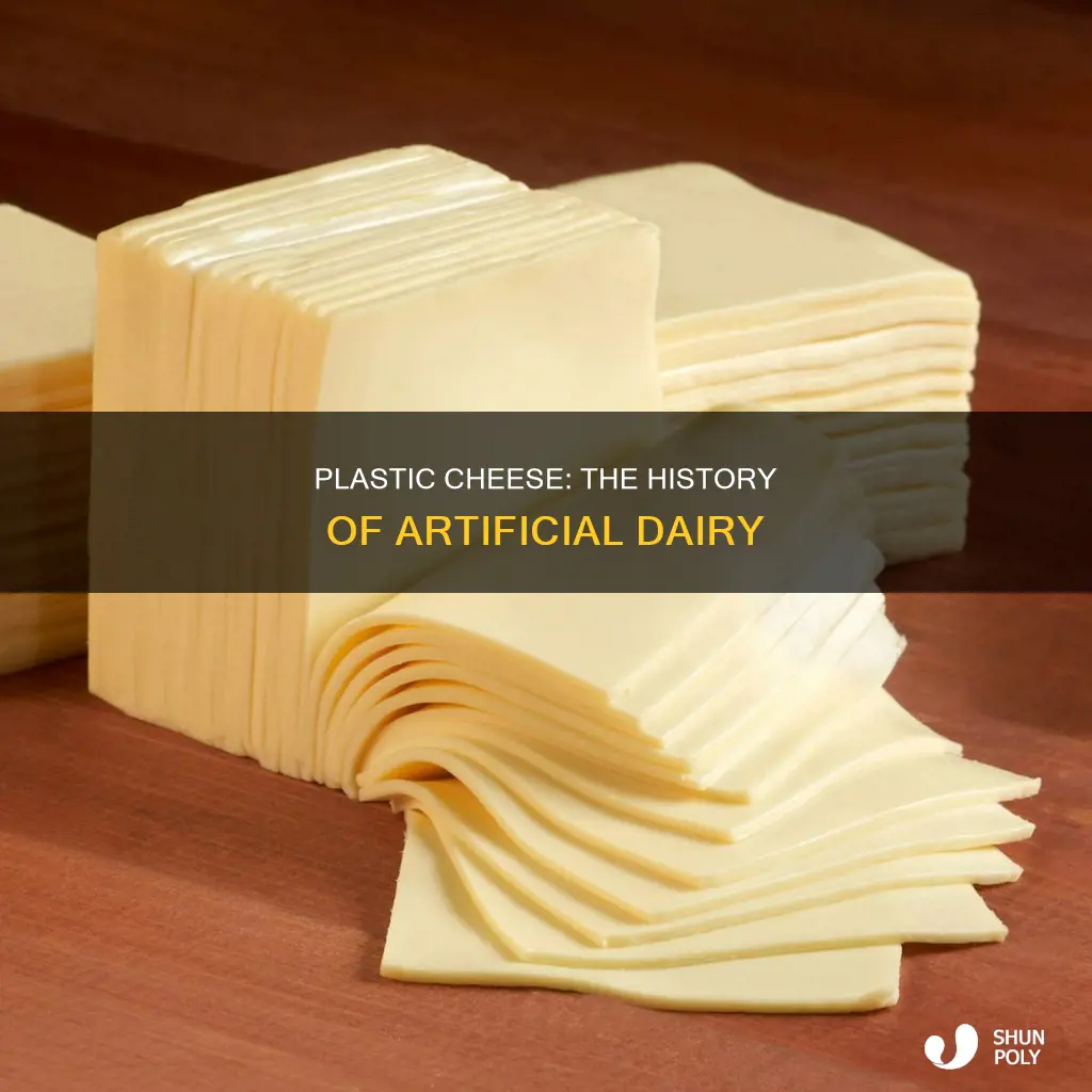 why is it called plastic cheese