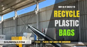 The Hidden Costs of Recycling Plastic Bags: A Financial Breakdown