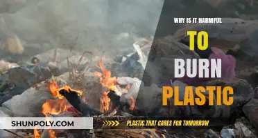 Plastic Burning: Toxicity and Environmental Hazards