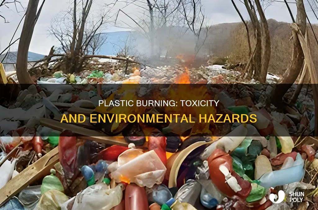 why is it harmful to burn plastic