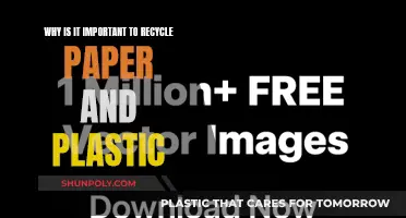 Recycling Paper and Plastic: Our Future Depends on It