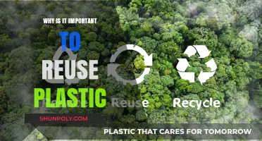 Reducing, Reusing, Recycling: The Importance of Plastic Reuse