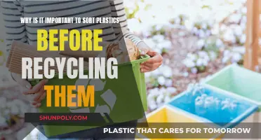 Sorting Plastics: The Key to Successful Recycling