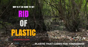 Breaking Free from Plastic: Unraveling the Stubborn Persistence of Waste