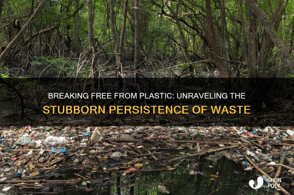 why is it so hard to get rid of plastic