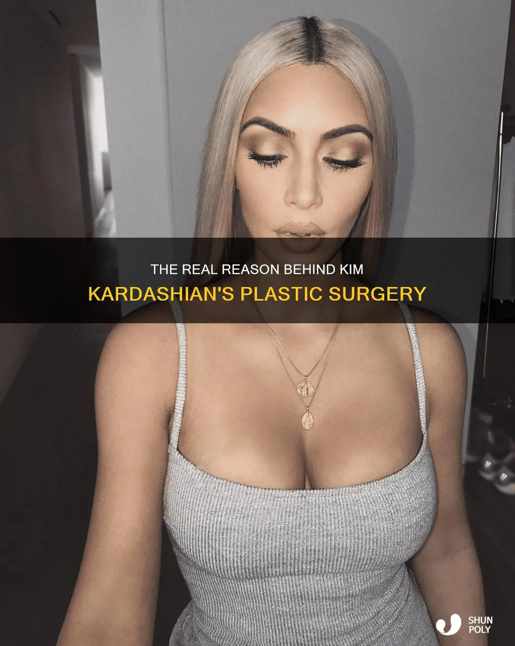 why is kim kardashian called plastic