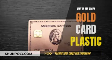 Gold Standard: Plastic Amex Cards Explained