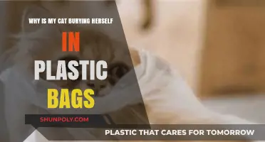 Why Cats Love Plastic Bags: Understanding Your Feline's Strange Habit