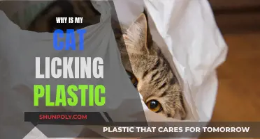 Cats Lick Plastic: What's the Reason Behind This Odd Behavior?