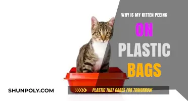 Why Kittens Pee on Plastic Bags: Understanding and Solving the Issue