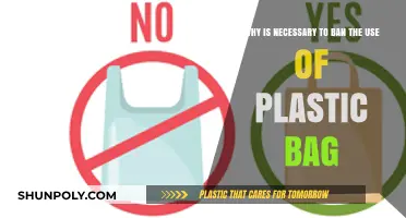 Ban Plastic Bags: Protecting Our Planet, Securing a Sustainable Future