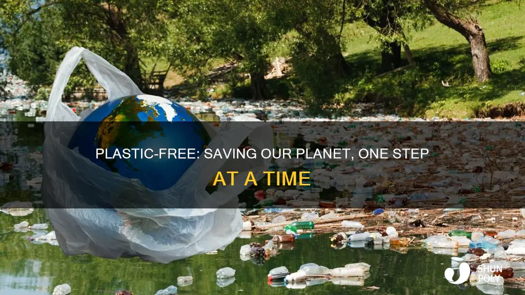 why is not usind plastic important