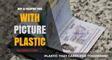 Plastic Passport Page: Why the Photo Page is Unique