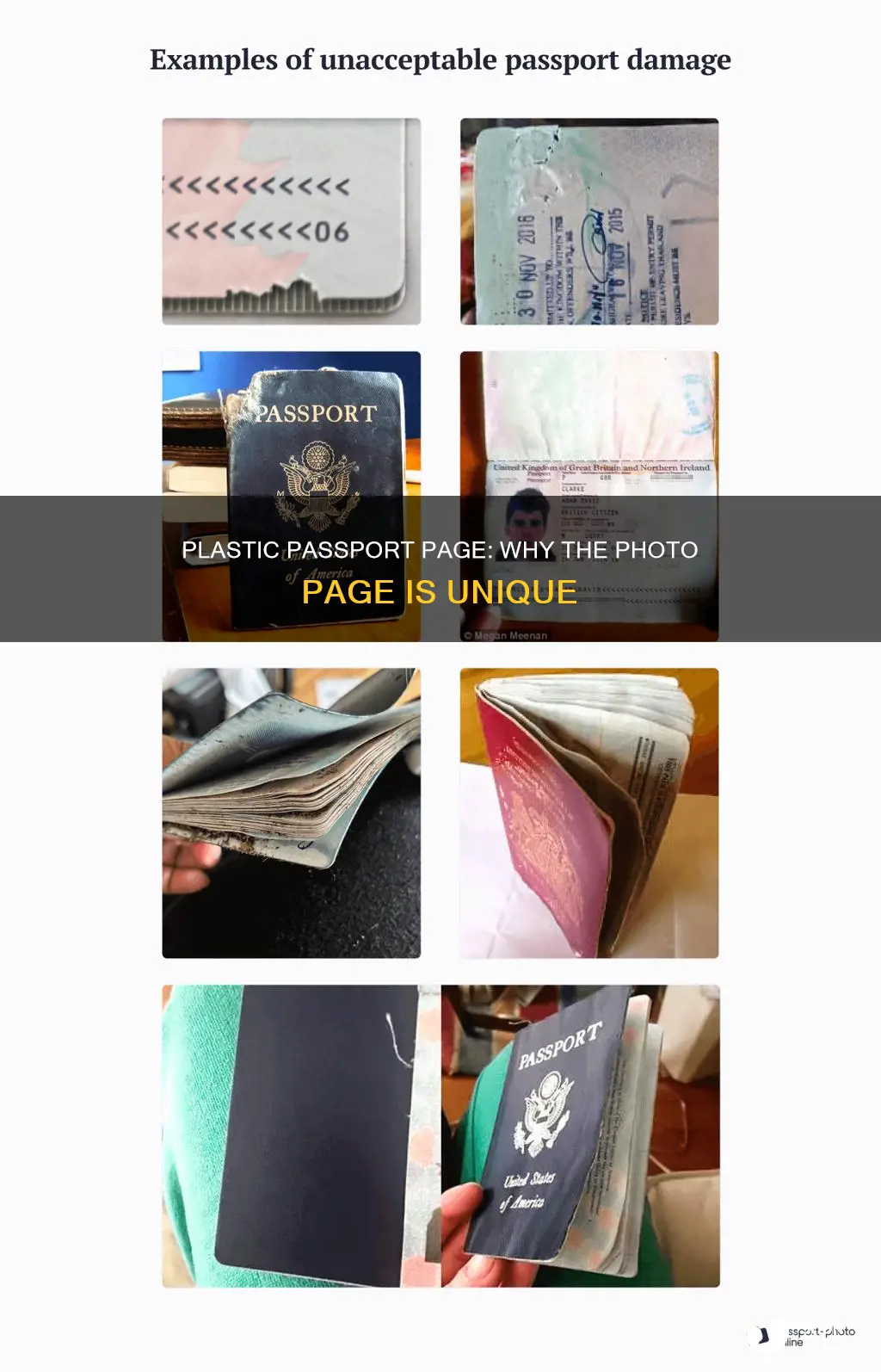why is passport page with picture plastic
