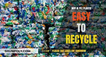 The Ease of Recycling PET Plastic: A Green Advantage