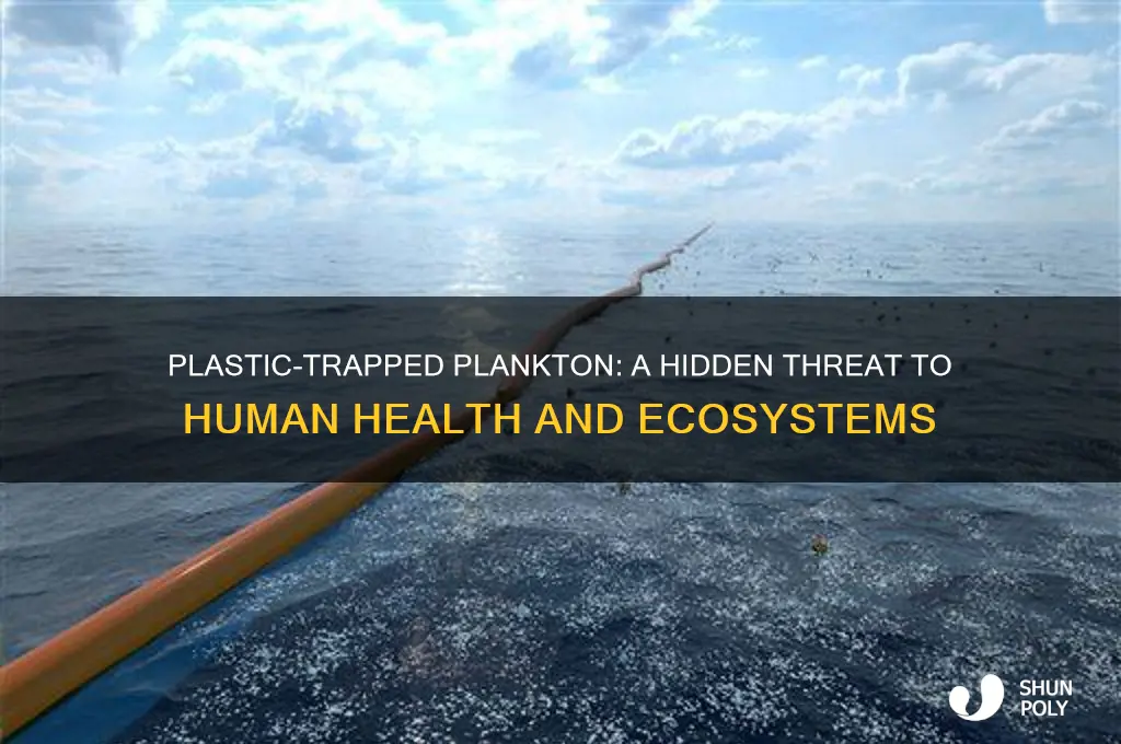 why is plankton getting caught in plastic harmful for humans